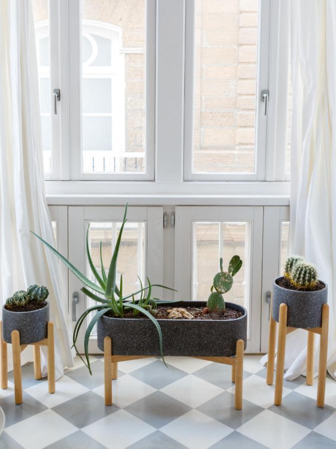 The Queen's Designer By Cadiz4rentals * Cadiz